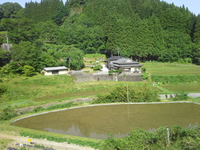 Countryside